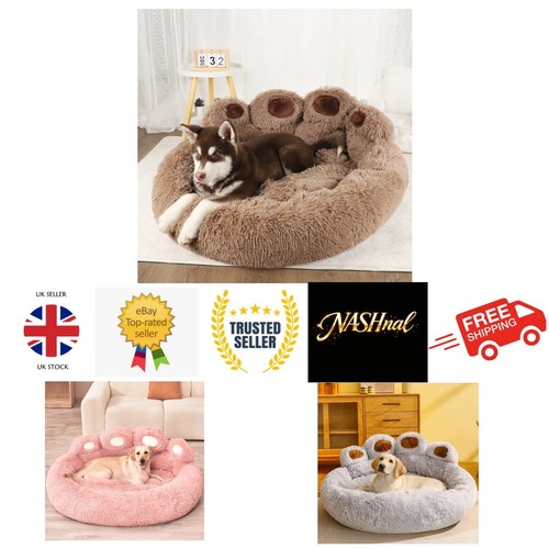 Cuccia per animali domestici - animali,