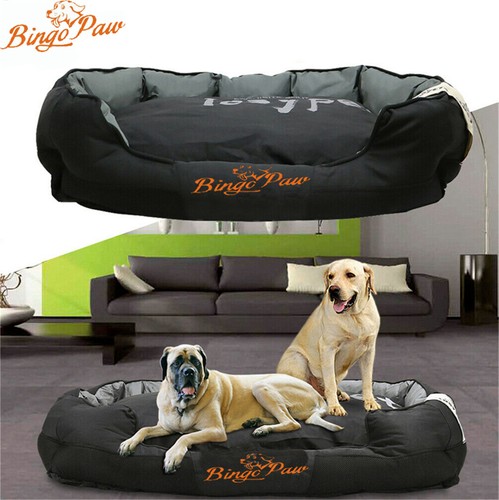 Cuccia per cani - , animali