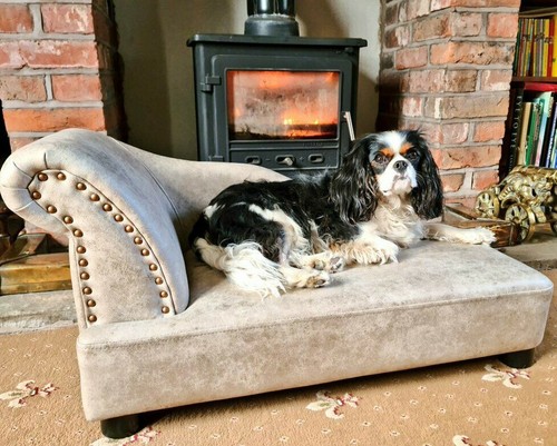 Letto per cani chaise longue - cani,