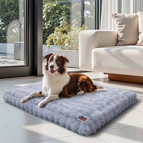 Cuccia ortopedica per cani