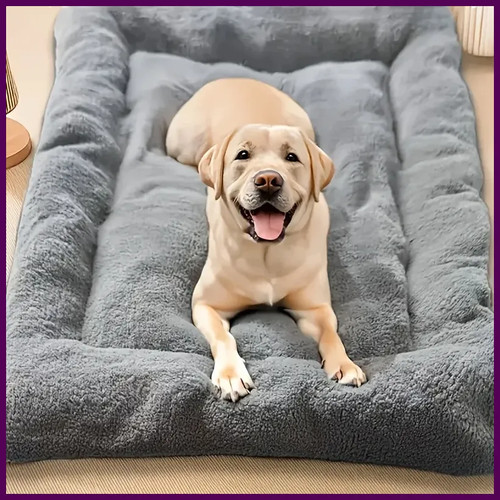 Cuccia per cani animali - per,