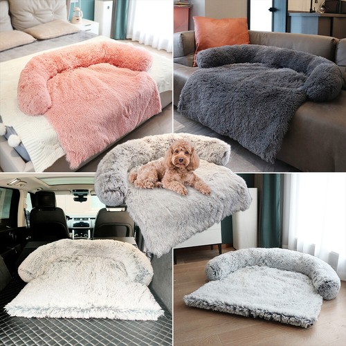Cuccia per cani gatti animali - gatti,