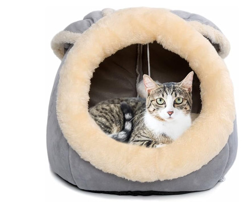 Divertente letto per gatti - per,