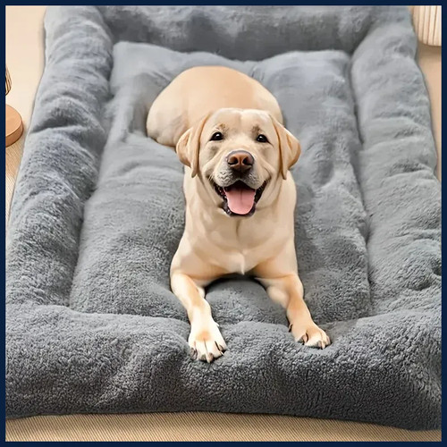 Cuccia per cani gatti - , in